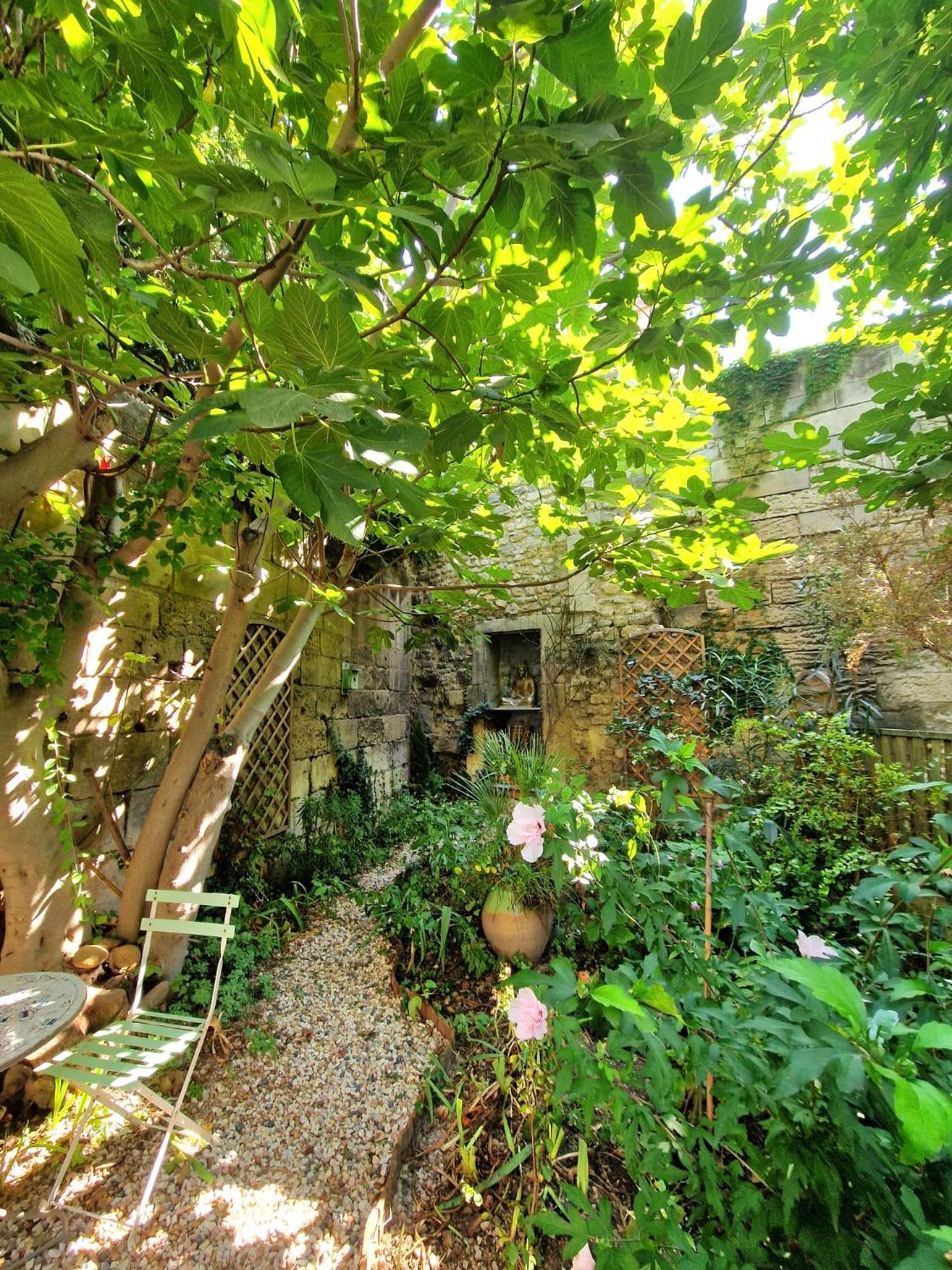 Capucines, Un Jardin Secret Dans Le Centre Historique Apartment Арл Екстериор снимка